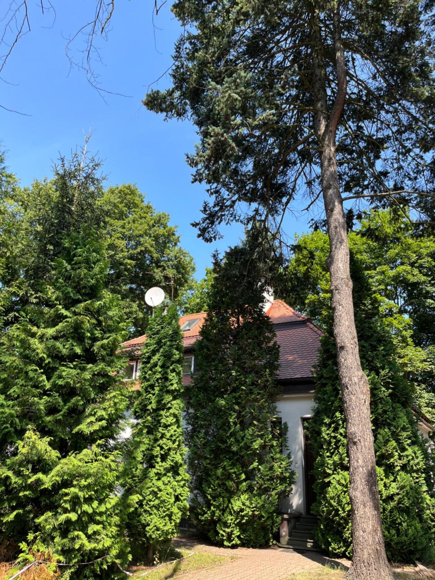 Dedek Park - Historyczny Dworek W Pieknym Parku Skaryszewskim Obok Stadionu Narodowego Варшава Екстериор снимка